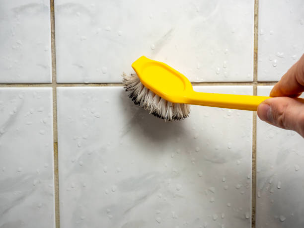 Best Black Mold Removal  in Bethany, MO