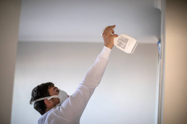 Best Crawl Space Mold Removal  in Bethany, MO
